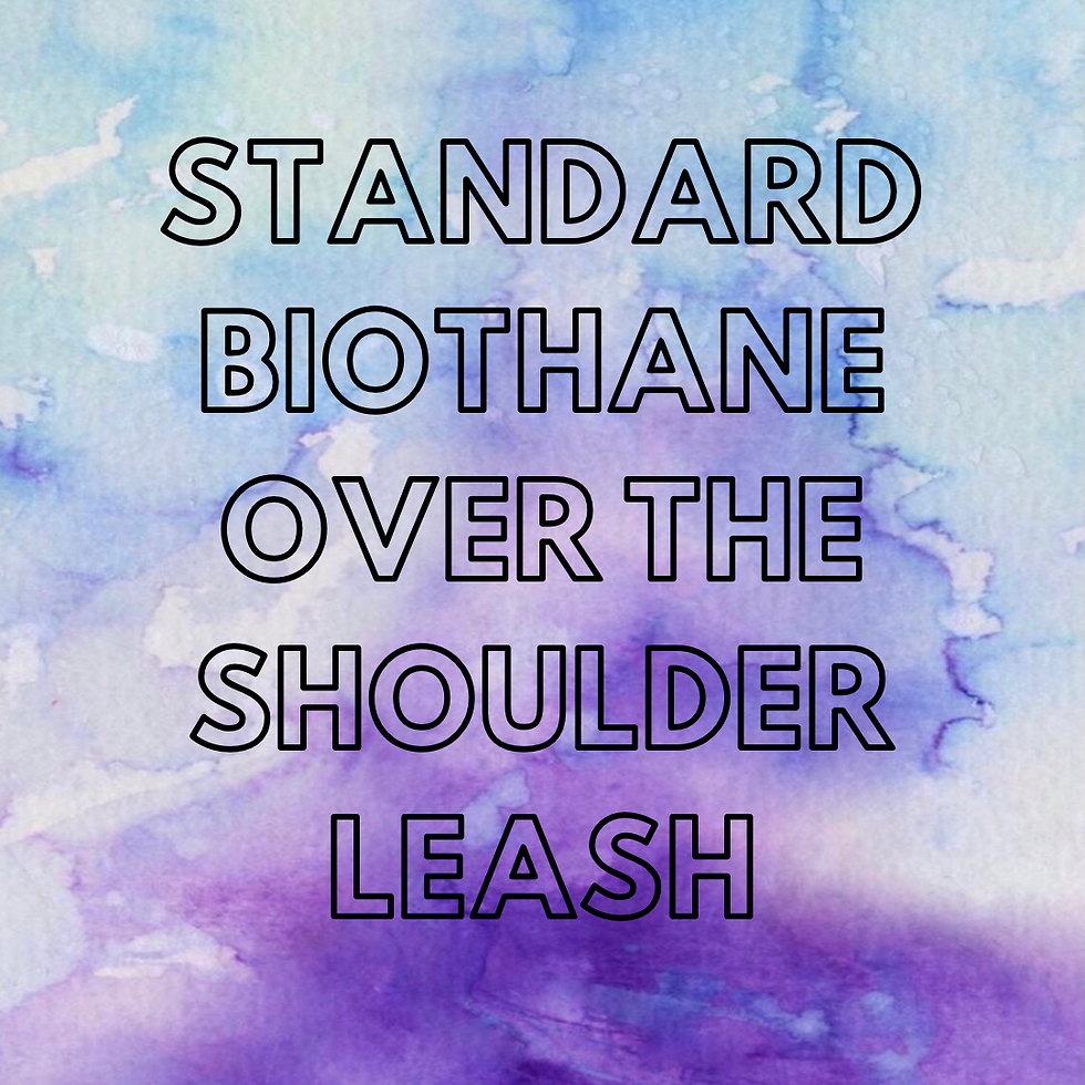 Standard Biothane Over the Shoulder Leash