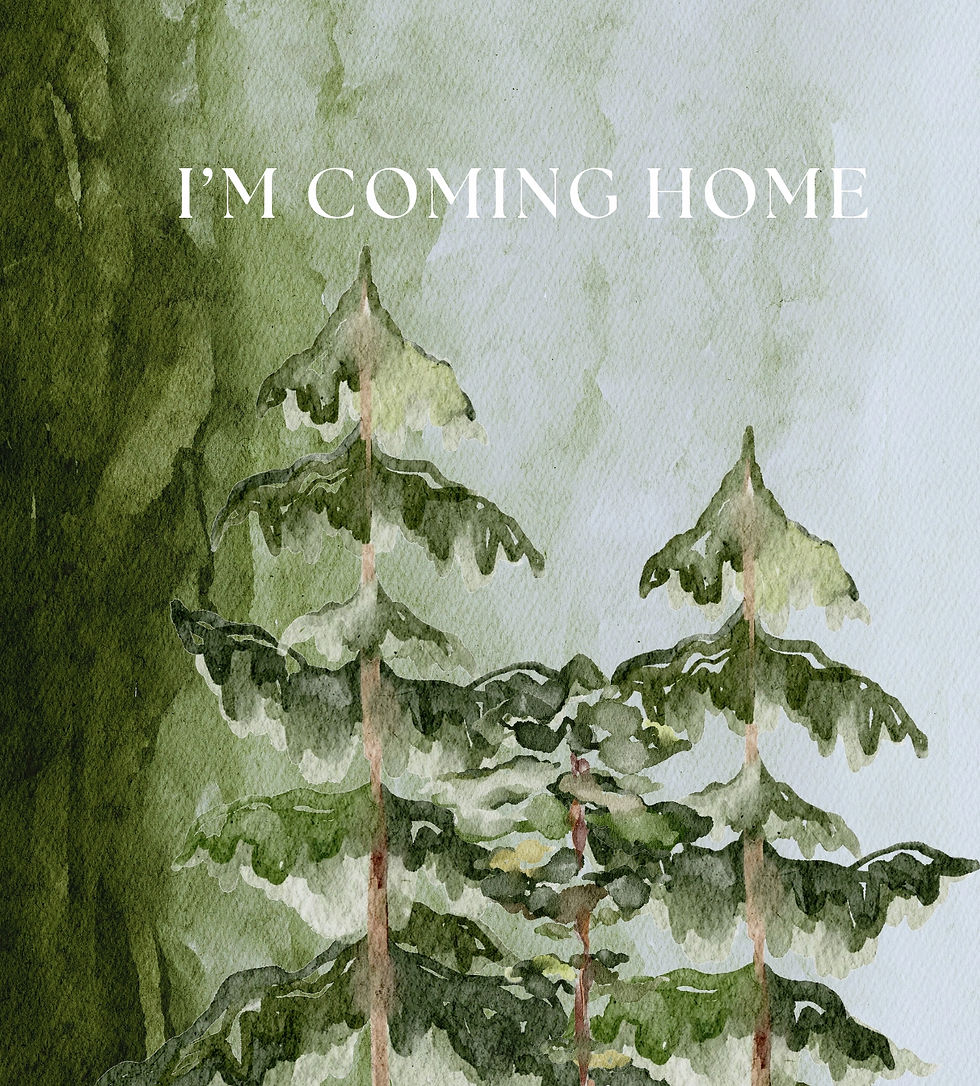 12 Week Guide to Healing your Brain After Trauma