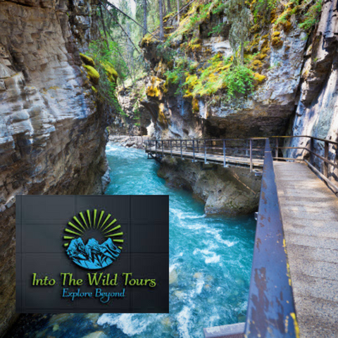 Experience the best of the Canadian Rockies with Into the Wild Tours. Book personalized adventures, scenic tours, and shuttle services.