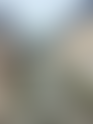 The ruins of Pompeii