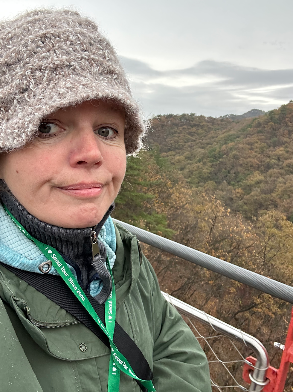 DMZ - South Korea