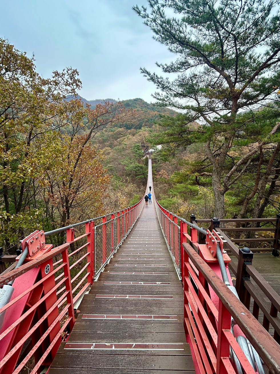 I got to the bridge before everyone behind me! That's why it's so peaceful looking!