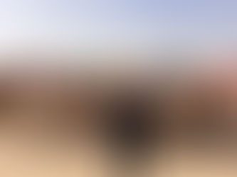 Cringe, Creepy & Camels