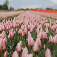 Circle Tours - Agassiz / Harrison Mills