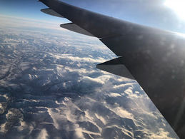 Meltdowns, Wine, Window Seats, Robots & Shrimp