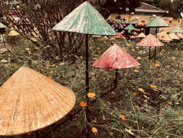 Trái Tim Phiền Muộn