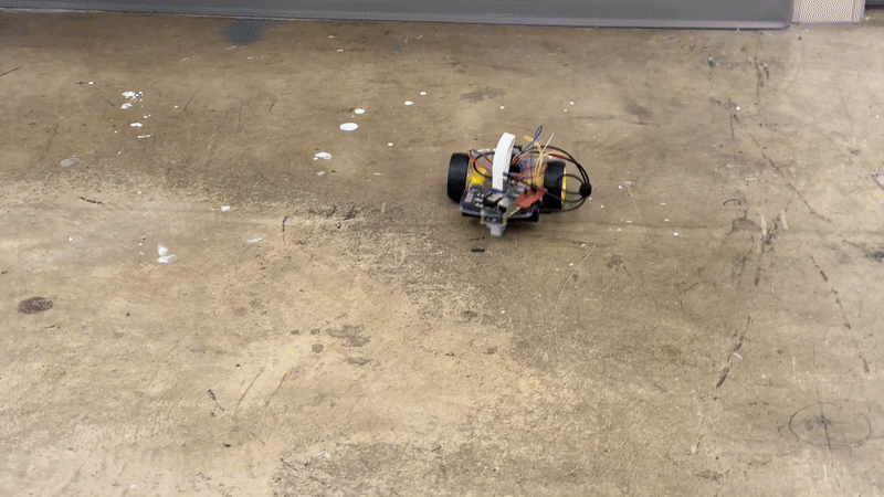 IMG_5125-ezgif.com-video-to-gif-converter copy.gif