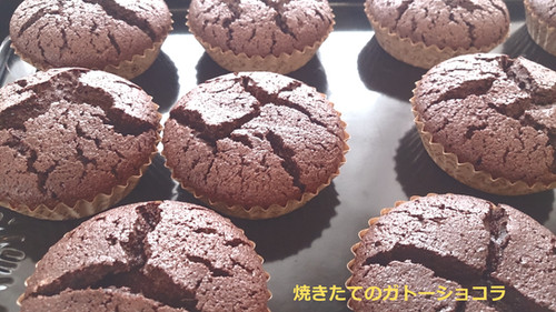 グルテンフリーガトーショコラ 1カップ | ガトーショコラ専門店 donnacafe