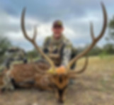 external-file_edited (3).jpg