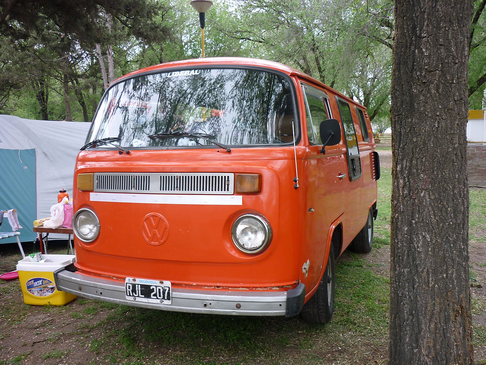 P1010411.jpg