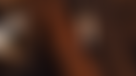 Les xylophages attaquent !