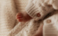 DSC01555.jpg