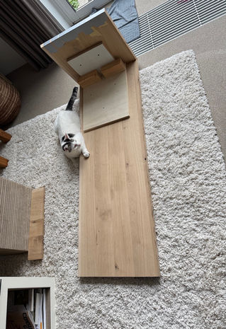 Kitten op houten TV meubel, witte vloerkleed, Houten bovenkant TV meubel, Yuri's Houtwerk.