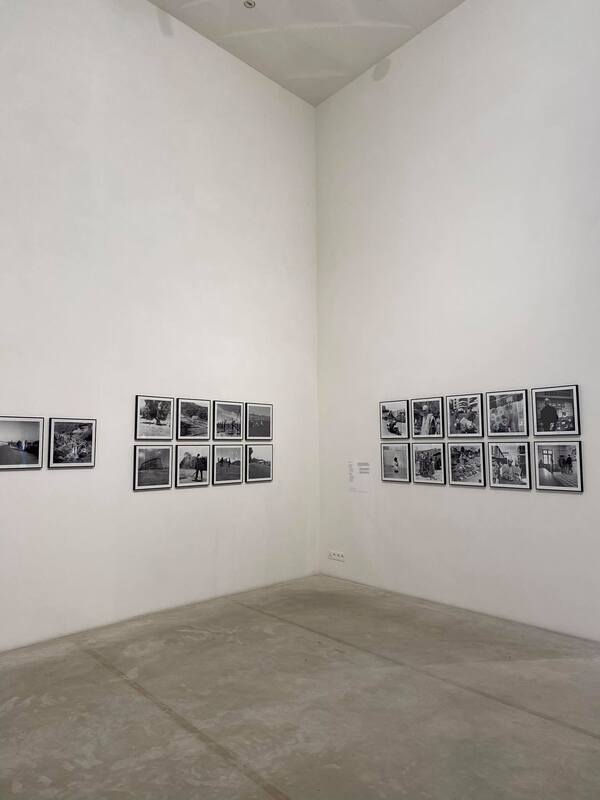 Le Déracinement: Over diasporische verbeelding