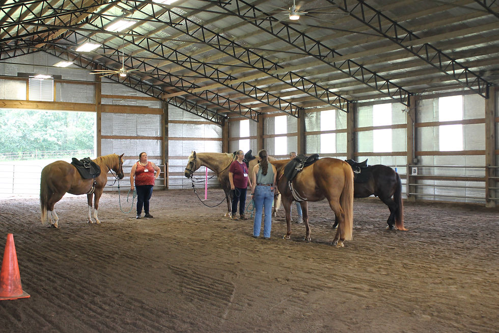 Horses and volunteers prepare to mount special needs riders for a session demonstration in the HorsePlay Inc. arena.