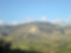 BIVONA