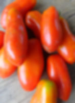 Thumbnail: Tomate / Tomato "Roma"
