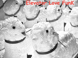 Elevator Love Funk