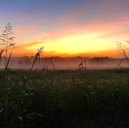 Morning in Carmine, Texas