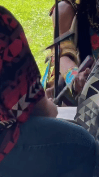 native powwow wide(2).gif