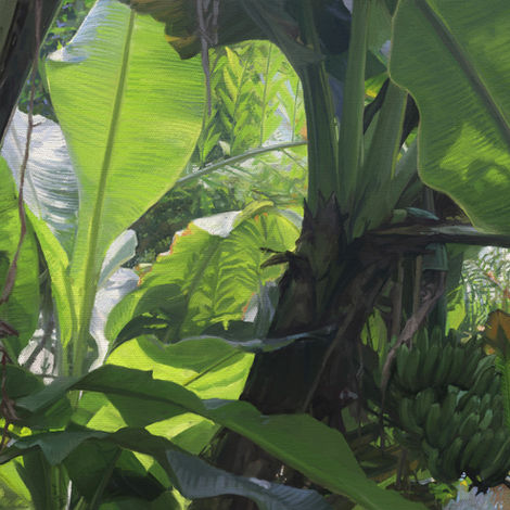 Painting & Illustration