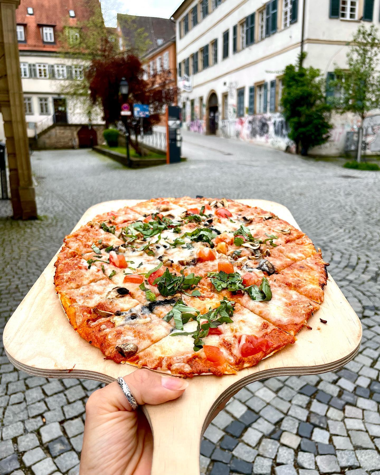 Arranged Food and Objects