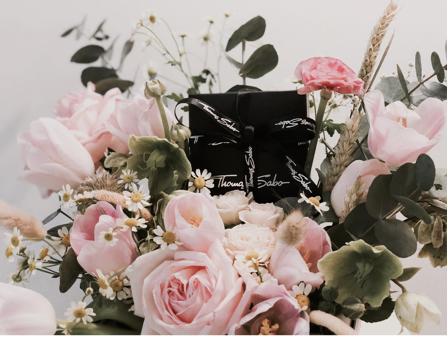 Arranged Food and Objects