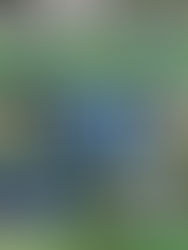 「2ND」SS2リーグ第2節　試合結果