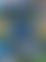 【2026 第13回 新春交流戦大会】TOP最終日　試合結果