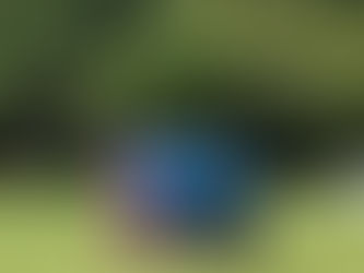 【第34回谷中杯争奪真岡カップ】最終日試合結果