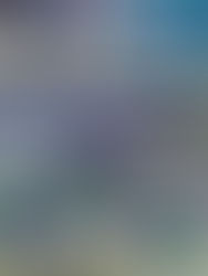 【令和7年度 県民総合スポーツ大会兼高等学校サッカー新人大会南部支部予選】試合結果