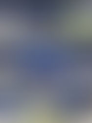 【令和７年度 県民総合スポーツ大会兼高等学校サッカー新人大会南部支部予選】試合結果