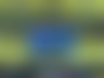 【第35回谷中杯争奪真岡カップ】2日目　試合結果