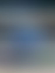 【2026 第13回 新春交流戦大会】 2ND二日目　試合結果