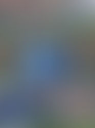 【第17回 COPA SAITAMA 2025】最終日　試合結果