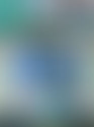 【2026 第13回 新春交流戦大会】 2ND初日　試合結果