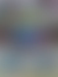 【令和7年度 県民総合スポーツ大会兼埼玉県高校サッカー新人大会】試合結果