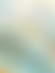 What the Latest State of the Industry 2026 Report Tells Us About Cruise Retail!