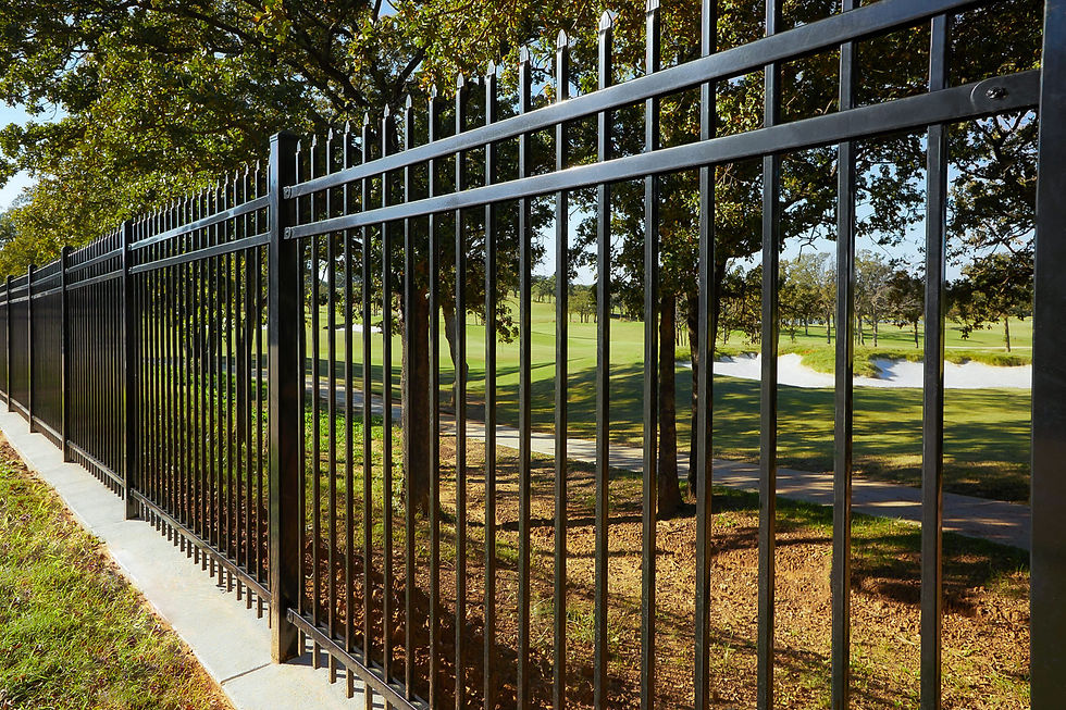 Perimeter fencing