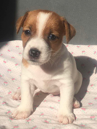 изображение_viber_2020-10-07_15-32-17.jp