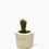 Thumbnail: Concrete Cactus Planter