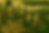 ChatGPT Image Jun 23, 2025, 12_53_57 PM.png