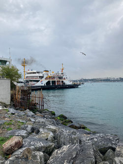 Ferry and the Seagulls, Nov 2020