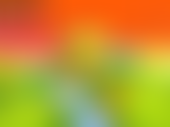 V Fiesta Balonowa "Dolina Narwi"