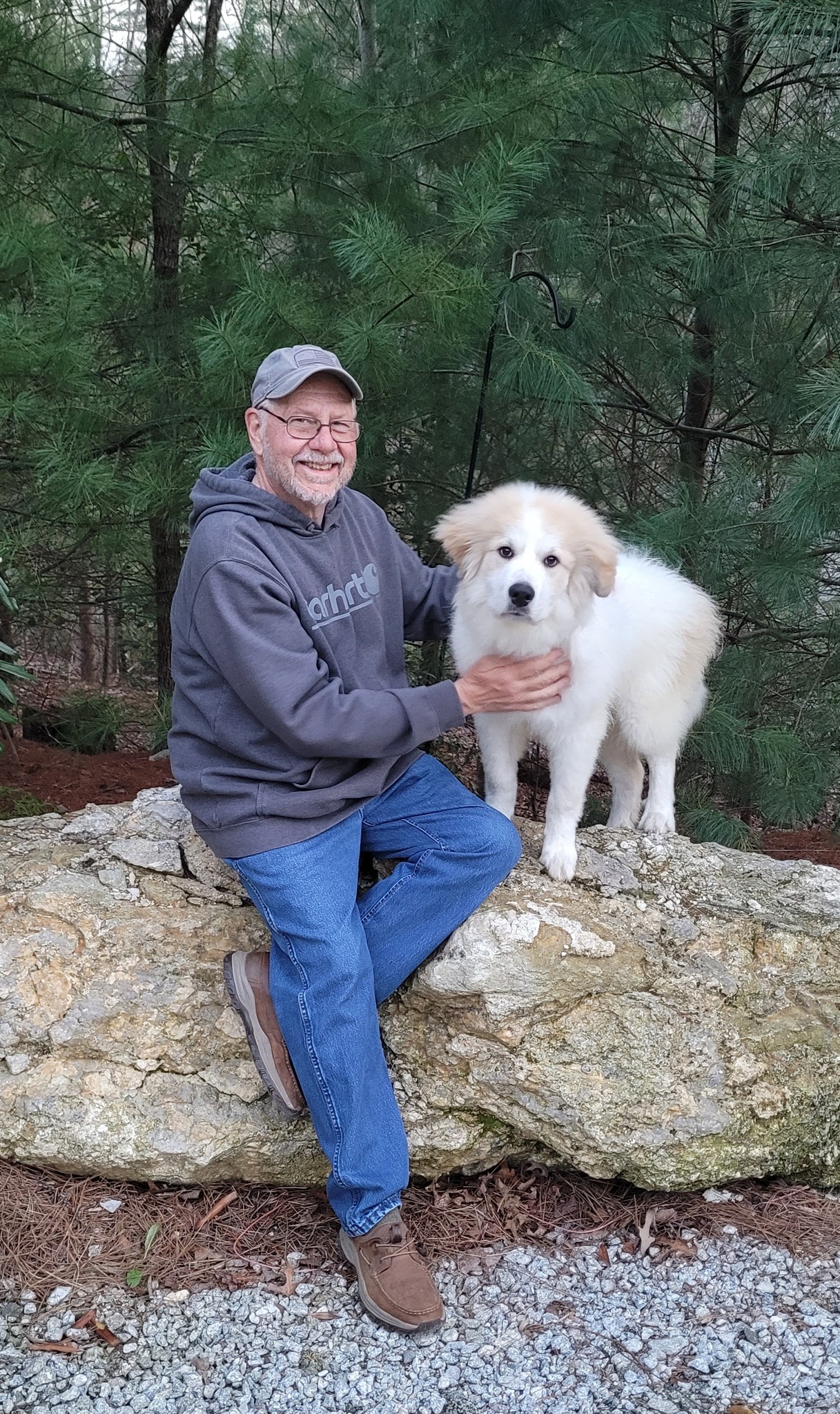 Writer: Stewart Harvard