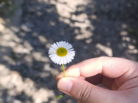 Nezahat Gökyiğit Botanik Bahçesi