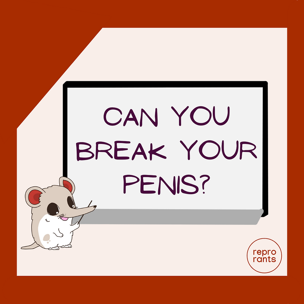 Is it Possible to Break Your Penis?