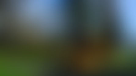 Las odiosas e (in)evitables comparaciones