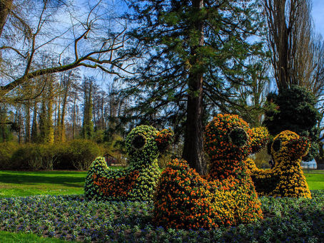 Las odiosas e (in)evitables comparaciones