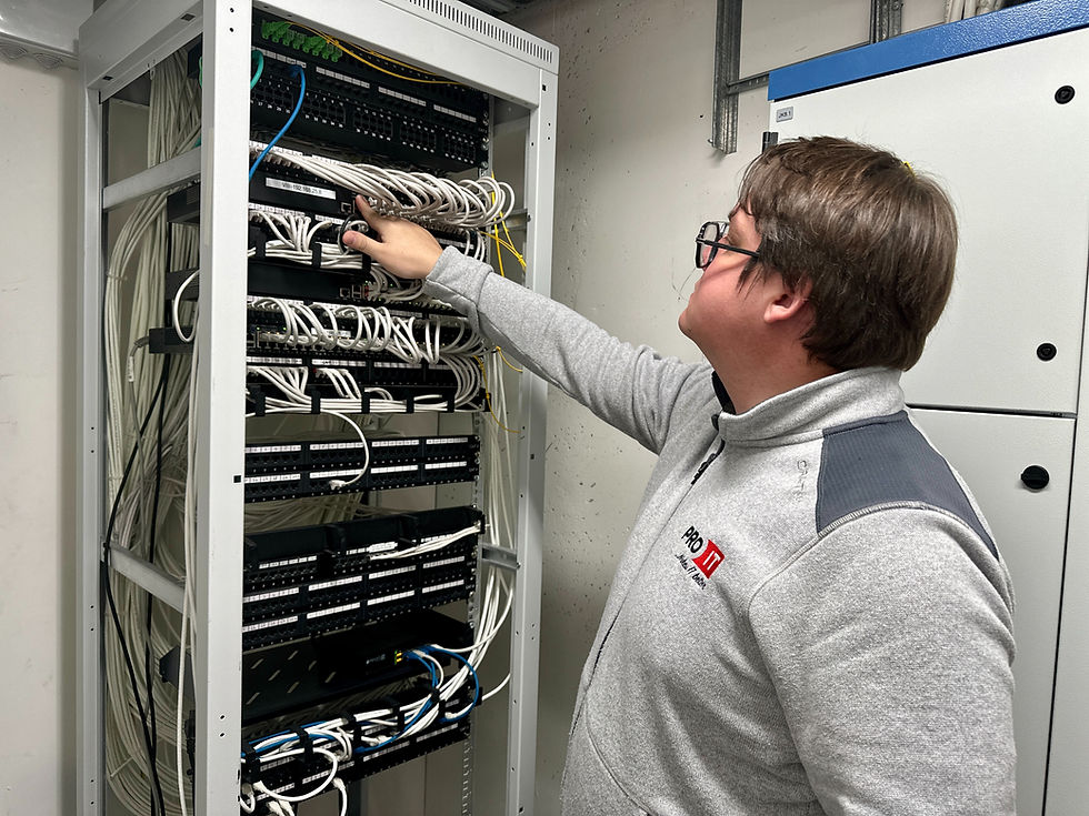 it service provider pro-it